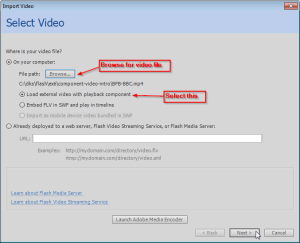 Flash-cs6-import-video-select-video.png