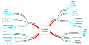 Psychologie cognitive1.png