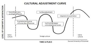 Cultural-adjustment-curve.jpg