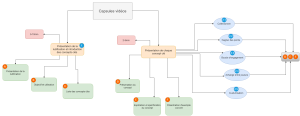 Formation à la ludification (gamification) -schemadesvideos.png