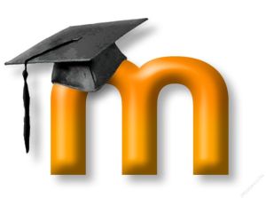 Moodle 3.jpg