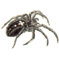 Thumbnail for version as of 17:52, 9 April 2021