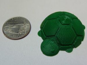 Turtle.jpg
