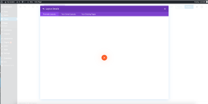 Problem-import-Divi-layout.png