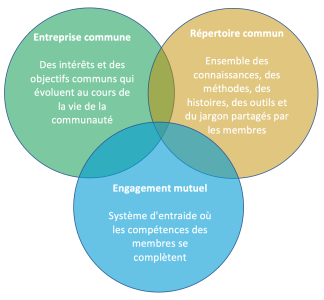 File:Communaute de pratique wenger2005.png