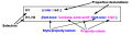 Thumbnail for version as of 17:50, 9 April 2021