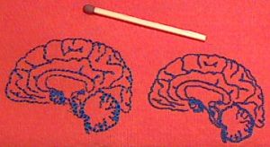 Brain-embroidered-2.jpg
