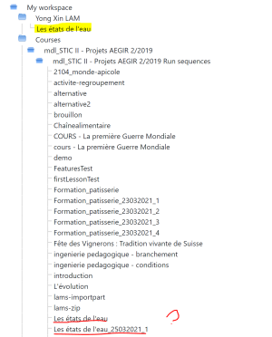 LAMS2 Contenu dossier.png