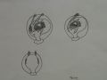 Thumbnail for version as of 17:52, 9 April 2021