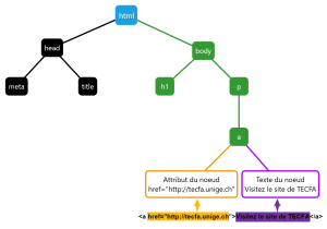 DOM html exemple avec couleurs.png