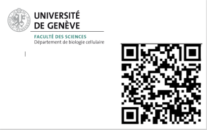 Partie tissu.png