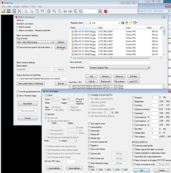 File:Irfanview.png