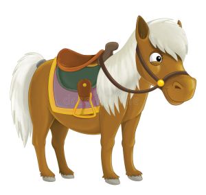 Cheval dessin.jpeg