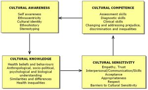 Papadopoulos-cultural-competence-model.jpg