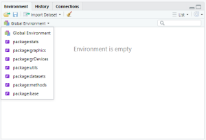 RStudio environment builtin packages.png