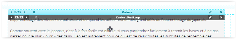 File:Wordpress DMS2 modification de bloc.PNG