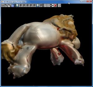 David-laserscanner-lion3.jpg