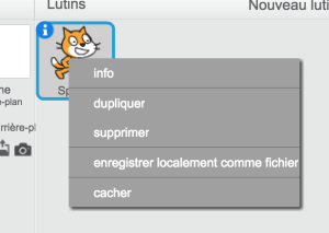 ScratchSupprimerLutin.png