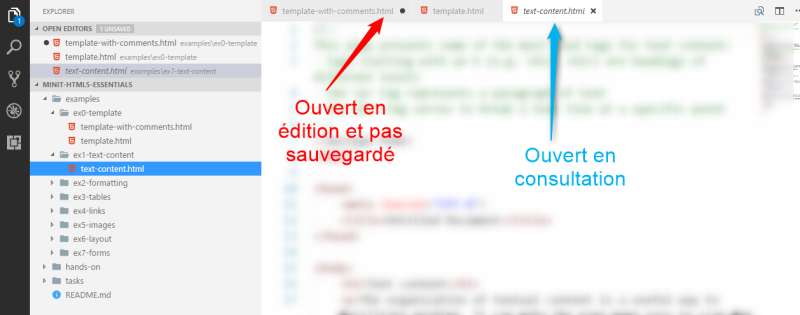 File:VSC modalité d'édition.png