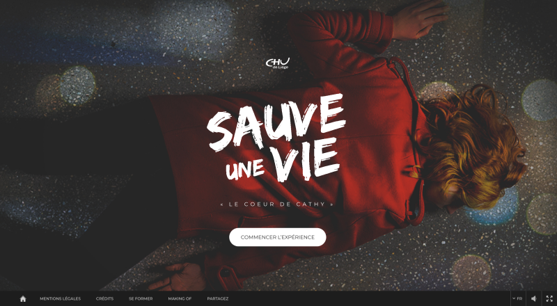 File:Jeu sauveunevie Capture d’écran.png