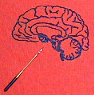 Brain-embroidered.jpg