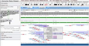 SNP-exemple-CFTR-inGDV.jpg