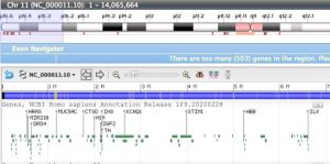 Ins-zoomout-hbb-in-GDV.jpg