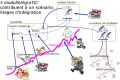 Thumbnail for version as of 17:52, 9 April 2021