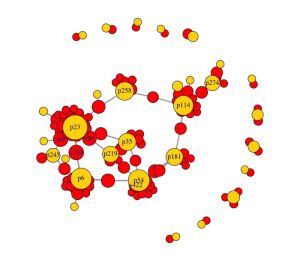Networkana graph5.jpeg