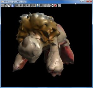 David-laserscanner-lion2.jpg