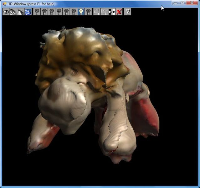 File:David-laserscanner-lion2.jpg