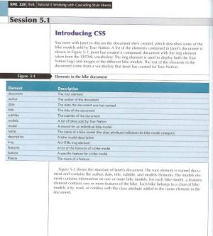 Carey-css-chapter-3.jpg