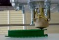 Thumbnail for version as of 17:52, 9 April 2021