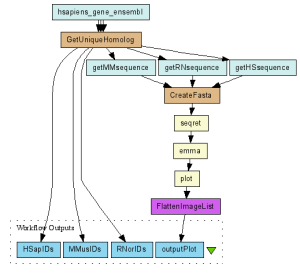 Biomart and EMBOSS analysis.png