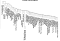 Thumbnail for version as of 18:01, 9 April 2021