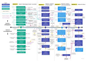 Scenario pedagogique nestle 2.jpg