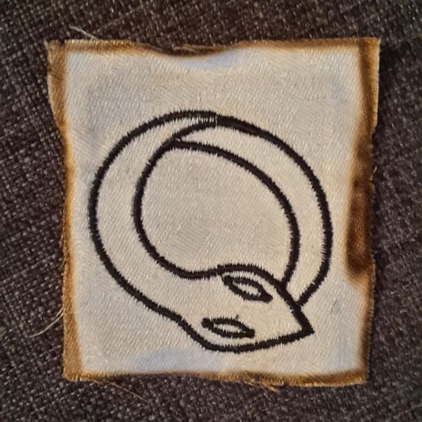 File:TatonEquipement bague serpent.jpg