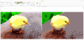 Thumbnail for version as of 18:05, 9 April 2021
