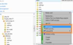 SVN menu contextuel.png