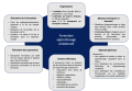 Thumbnail for version as of 18:06, 9 April 2021