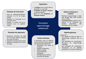 Synthèse dispositif travail collaboratif.png