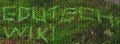 Thumbnail for version as of 17:50, 9 April 2021