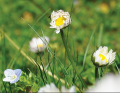 Thumbnail for version as of 18:03, 9 April 2021