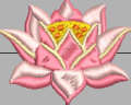 Thumbnail for version as of 12:56, 1 September 2022