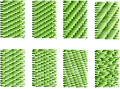 Thumbnail for version as of 18:03, 9 April 2021