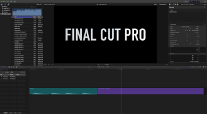 Ecran exemple FCPX.png