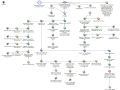 Thumbnail for version as of 18:02, 9 April 2021