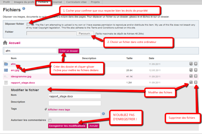 File:Mahara fichiers.png
