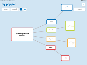 Popplet9.PNG