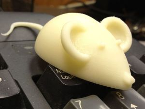 Mouse.jpg